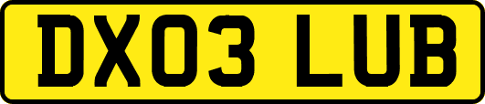DX03LUB