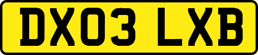 DX03LXB
