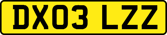 DX03LZZ