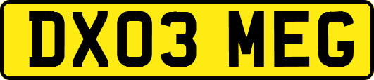 DX03MEG