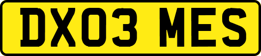 DX03MES
