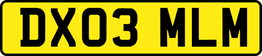 DX03MLM