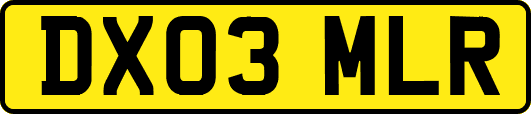 DX03MLR