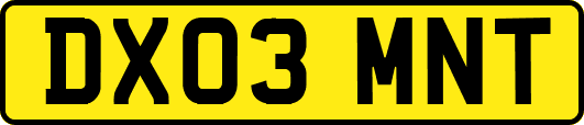 DX03MNT
