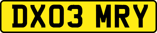 DX03MRY