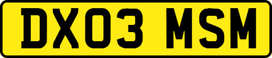 DX03MSM