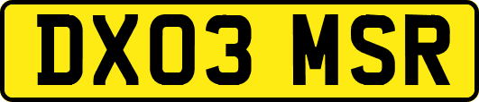 DX03MSR