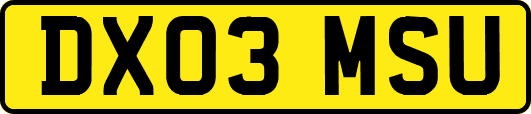 DX03MSU