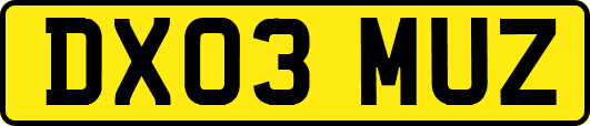 DX03MUZ