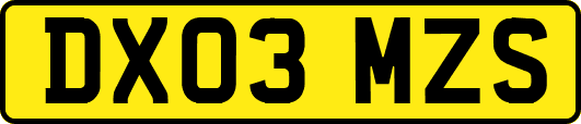 DX03MZS