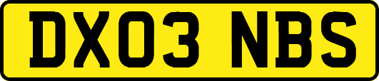 DX03NBS