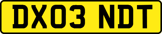 DX03NDT