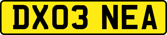 DX03NEA