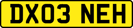 DX03NEH