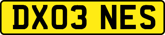 DX03NES