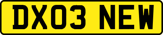 DX03NEW