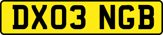 DX03NGB