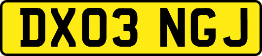 DX03NGJ