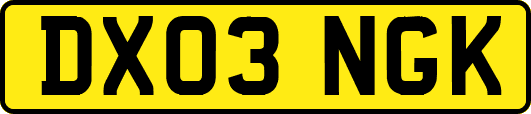 DX03NGK