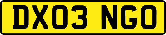 DX03NGO