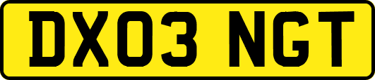 DX03NGT