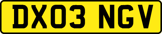 DX03NGV