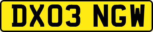 DX03NGW
