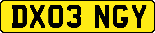 DX03NGY