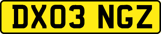 DX03NGZ