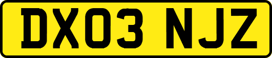 DX03NJZ