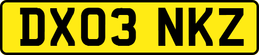 DX03NKZ