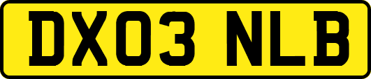 DX03NLB