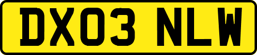 DX03NLW