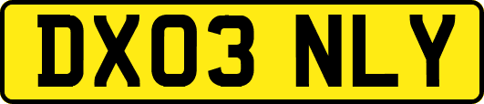 DX03NLY