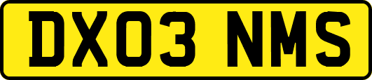 DX03NMS