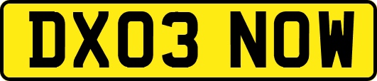 DX03NOW