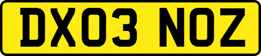 DX03NOZ