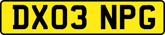 DX03NPG
