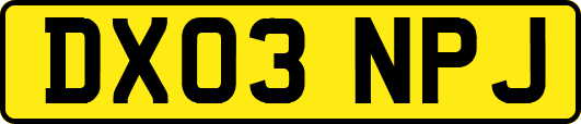 DX03NPJ