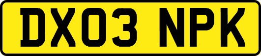DX03NPK