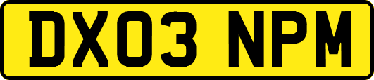DX03NPM