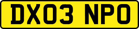 DX03NPO