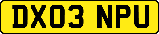 DX03NPU