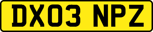 DX03NPZ