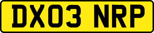 DX03NRP