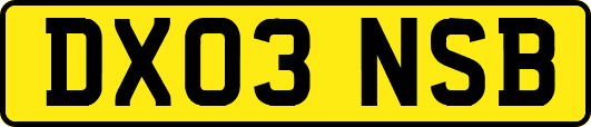 DX03NSB