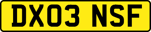 DX03NSF