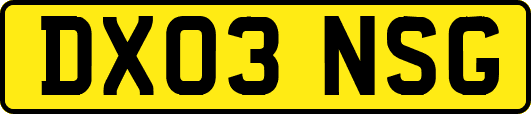 DX03NSG