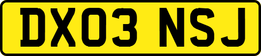 DX03NSJ