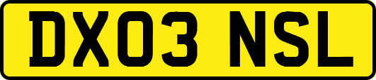 DX03NSL